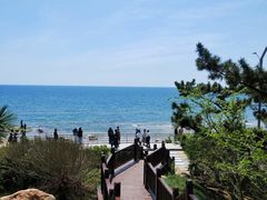 -海滨浴场