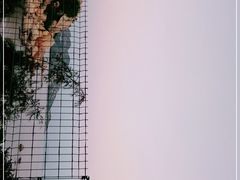 -那琴半岛地质海洋公园