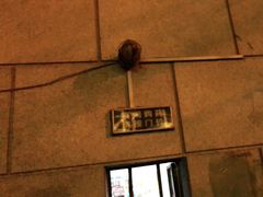 -养和堂(张江店)