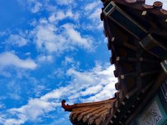 -白草畔自然风景区