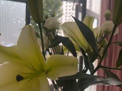 -思思·情景·养生Spa