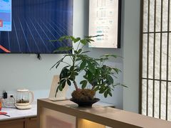 -长风拨筋养身(金虹桥店)