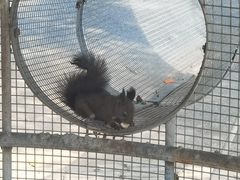 -秦皇岛野生动物园