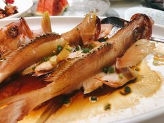 -金满楼(天河中路店)