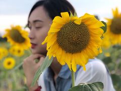 -汉长安城未央宫国家考古遗址公园