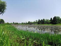 -宜兴龙背山森林公园