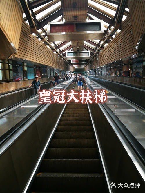 重庆|重庆旅游，重庆必吃火锅🌶