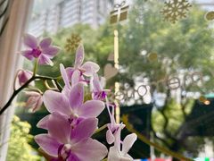 -街角 T·COFFEE 融合料理·BISTRO(车公庙店)