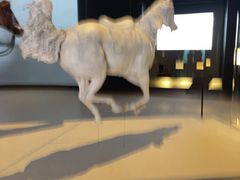 -扎耶德国家博物馆