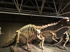 -世界恐龙谷景区