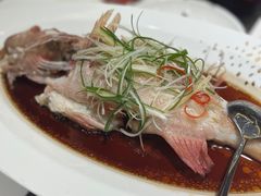 -神洲四海大酒楼(王府井澳门中心店)