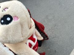 -海底捞火锅(名城广场夜宵生日主题店)