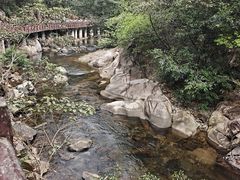 -广州市石门国家森林公园