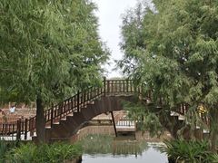 -五缘湾湿地公园