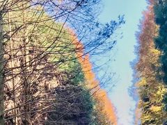-山王坪喀斯特国家生态公园