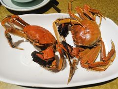 清蒸大闸蟹-刘胖子家常菜·蹄花焖藕(江汉路总店)