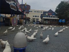 -烟台海昌鲸鲨海洋公园