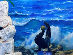 -左海海底世界