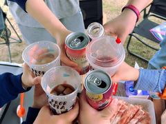 -春花秋色城市公园