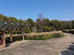 -绍兴镜湖国家城市湿地公园