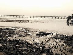 -宝安西湾红树林湿地公园