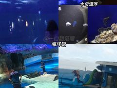 -香港海洋公园