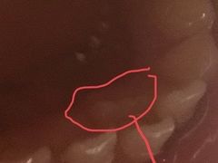 -天使口腔门诊部(上海店)