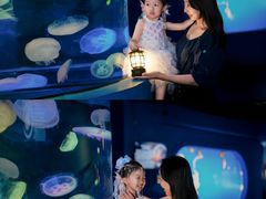 -太平洋海底世界