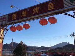 -望湖烤鱼
