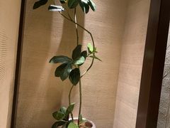 -千代武日本料理(爱建店)