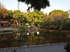 -荔湾湖公园