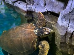 -多彩贵州城极地海洋世界