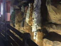 -御池园(顾村公园店)