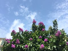 -北部湾广场