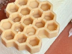 -随堂里