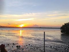 -宝安西湾红树林湿地公园