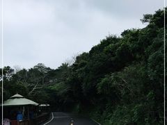 -海南铜鼓岭景区