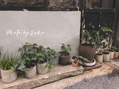 -铃木食堂(杨梅竹店)