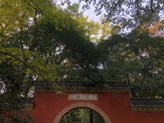 -灵谷景区