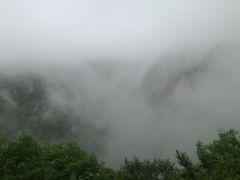 -王顺山国家森林公园