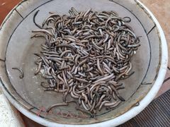 -御唐府海珊瑚主题餐厅