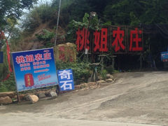 iphone_upload_pic-桃姐农庄老字号(从化温泉店)