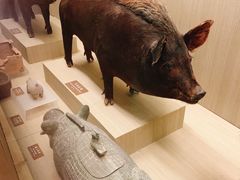 -中国农业博物馆
