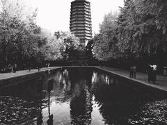 -玲珑塔公园