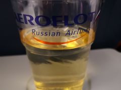 -谢列梅捷沃国际机场