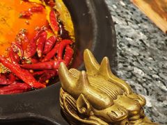 -蜀大侠火锅(建设路第五大道店)