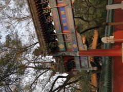 -北京国子监胡同