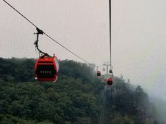 -牛背梁国家森林公园