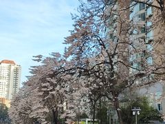 -红星桥(地铁站)