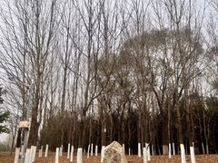 -长春世界雕塑园冰雪艺术天地